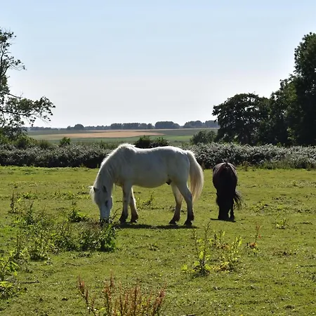 Bed & Breakfast Le Clos Des 7 Vallees Le Touquet